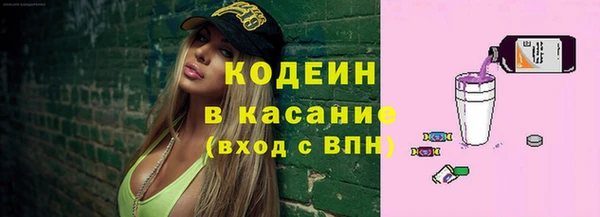 твердый Горняк