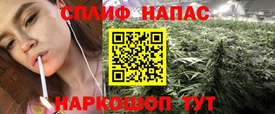 индика Будённовск