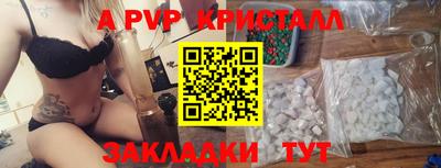 индика Будённовск