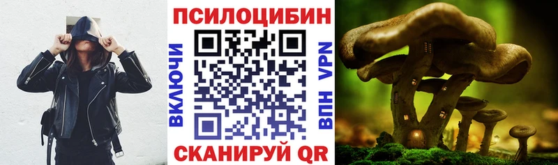 Псилоцибиновые грибы GOLDEN TEACHER  Донецк 