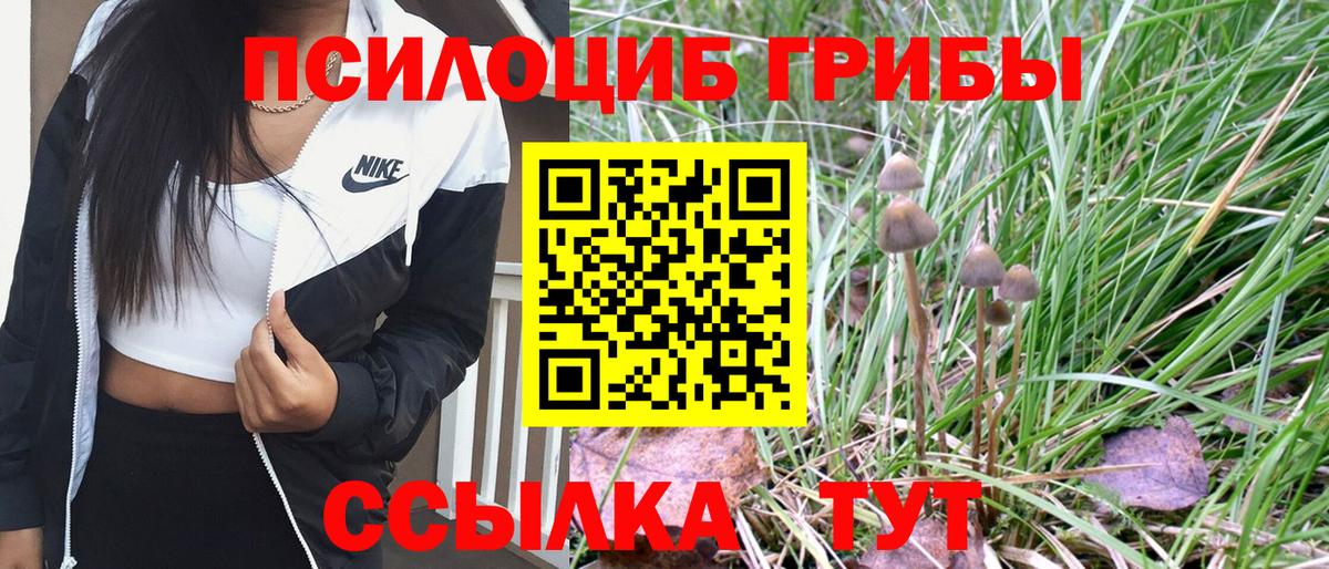 Псилоцибиновые грибы Psilocybine cubensis  Донецк  цены   Псилоцибиновые грибы ЛСД 