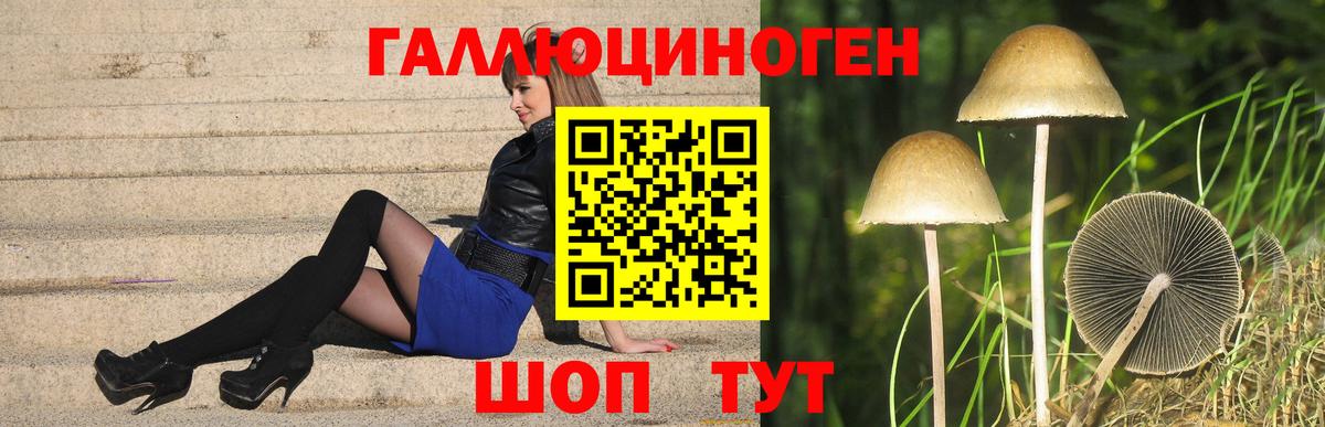 Псилоцибиновые грибы мухоморы  Вход с VPN  Донецк  где найти   Галлюциногенные грибы Cubensis 