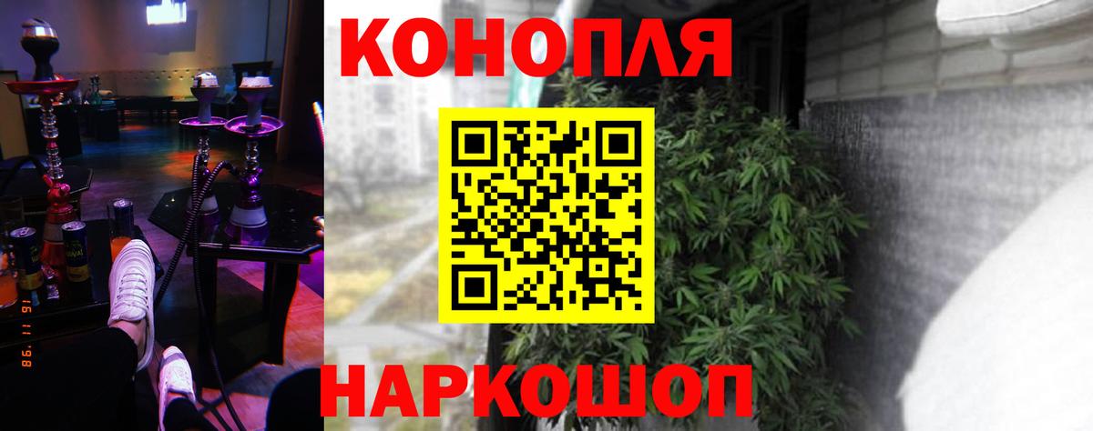 Бошки Шишки семена Донецк